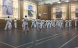 Российский Будосай 2017