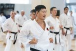 ▪ ВСЕРОССИЙСКИЙ ГАШУКУ В РОСТОВЕ 20-22 апреля