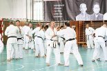 ▪ Европейский Гашуку (Прага июнь 2017 г.)