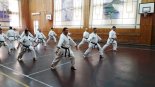Российский Будосай 2017