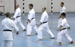 ▪ Семинар Масакадзу Курамото 25-27.05.12 г.