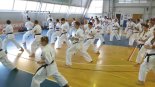▪ Семинар Тетсуджи Накамуры в Москве - октябрь 2016 г.