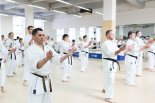 ▪ ВСЕРОССИЙСКИЙ ГАШУКУ В РОСТОВЕ 20-22 апреля